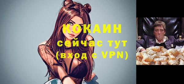 PSILOCYBIN Лихославль