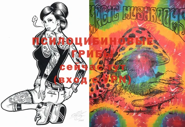 PSILOCYBIN Лихославль