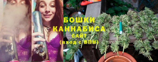 PSILOCYBIN Лихославль