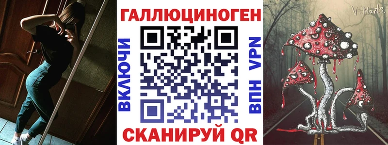 Купить Комсомольск Галлюциногенные грибы GOLDEN TEACHER